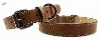 Dog Collar