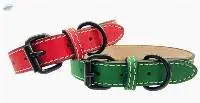 Dog Collar