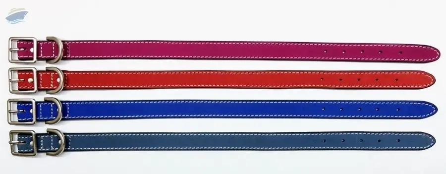 Dog Collar