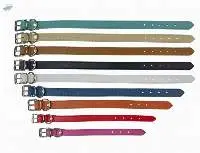 Dog Collar