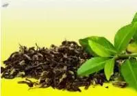 Nilgiri Tea