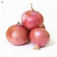 Onion