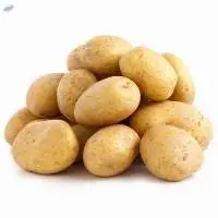 Potato