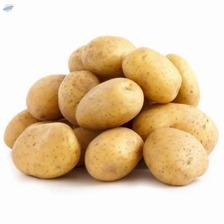 Potato
