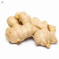 Ginger