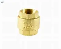 Brass Spring Check Valve- MBV Brand