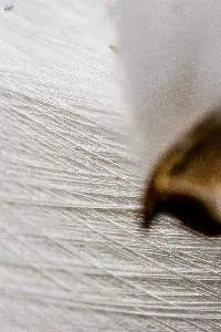 Spinning Polyester / Viscose