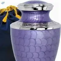 Cremation Urn for Ashes -  200 Cubic Inches