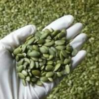 Pumpkin Kernels Shine Skin