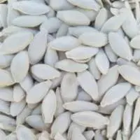 Pumpkin Seeds Lady Nail