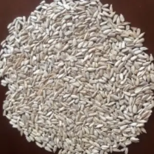 Sunflower Kernel Confectionery