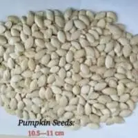 Pumpkin Seeds Shine Skin