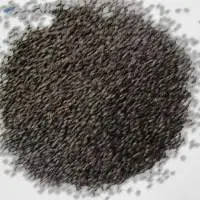Basil Seeds