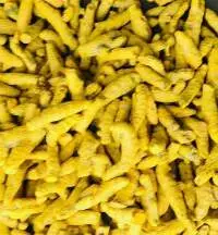 Turmeric Finger