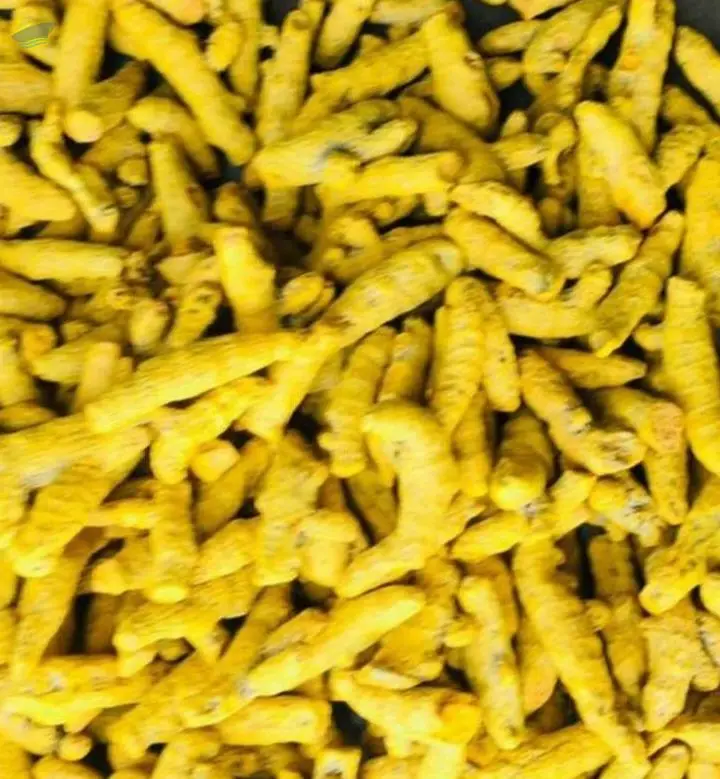Turmeric Finger