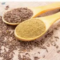 Cumin Seeds