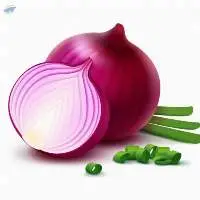 Onion