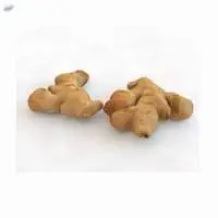 Ginger