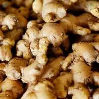 Fresh Ginger