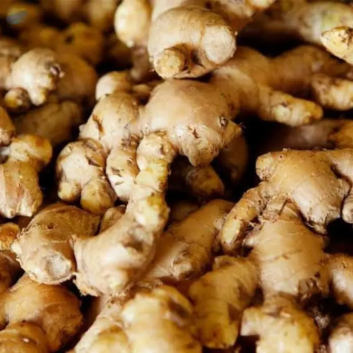 Fresh Ginger