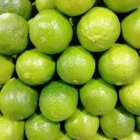 Fresh Lemon