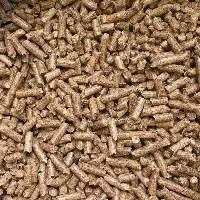 Wood Pellet