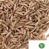 Spices From India (Cumin)