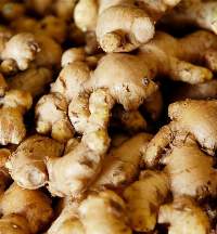 Fresh Ginger