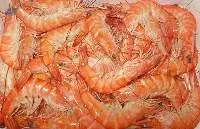 Fully Cooked HOSO Vannamei Shrimp