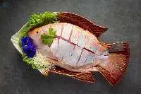 Premium Fresh Mahi Mahi Fish Export Quality
