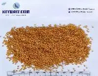 Yellow Millet