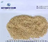 White Millet