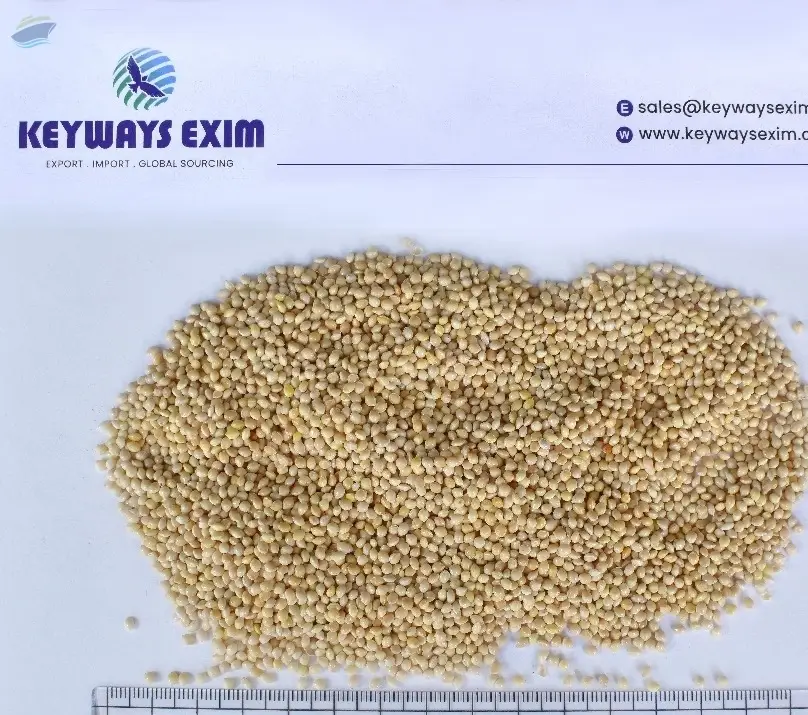 White Millet