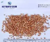 Red Sorghum