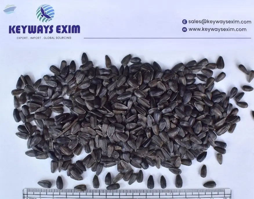 Black Sunflower Seeds