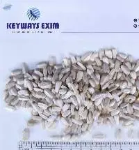 White Sunflower Seeds