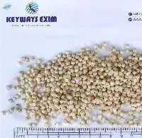 White Sorghum