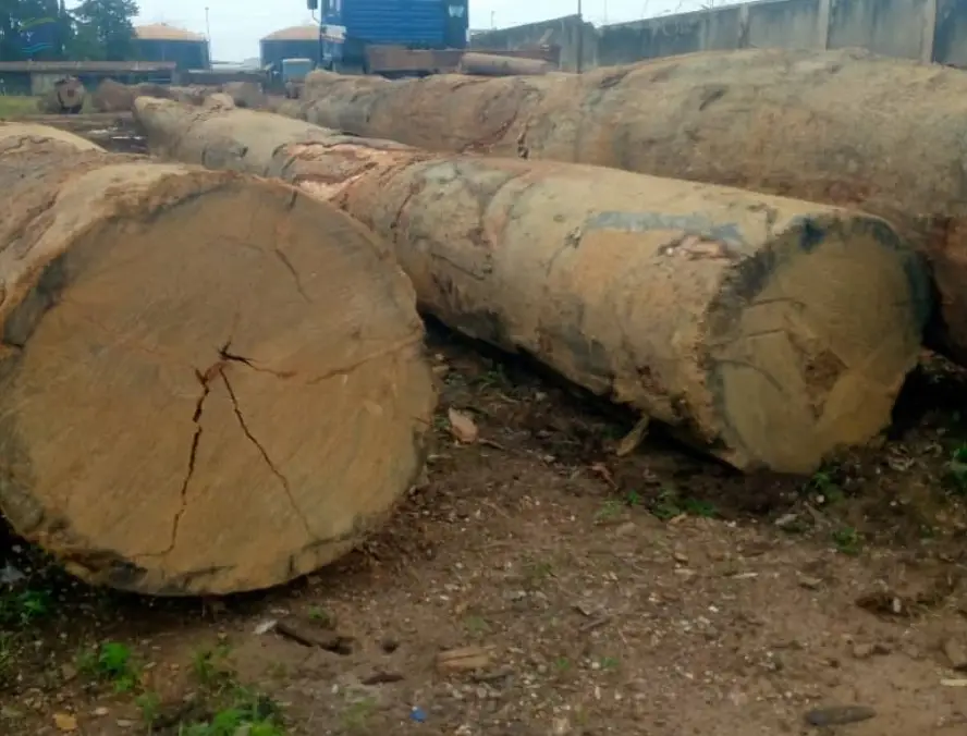 Timber Lumber