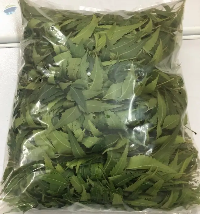 Neem Leaves