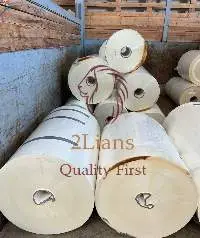PET Film Rolls Natural, Little Hazy