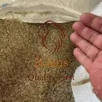 Eps Repro Pellet Light Yellow