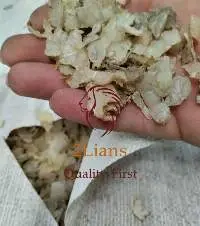 HDPE Regrind & Washed Natural and White