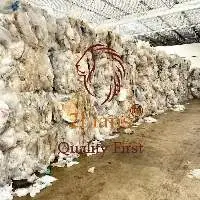 LDPE Walmart Film Sorted Grade A