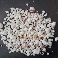PET Popcorn From Film White Color