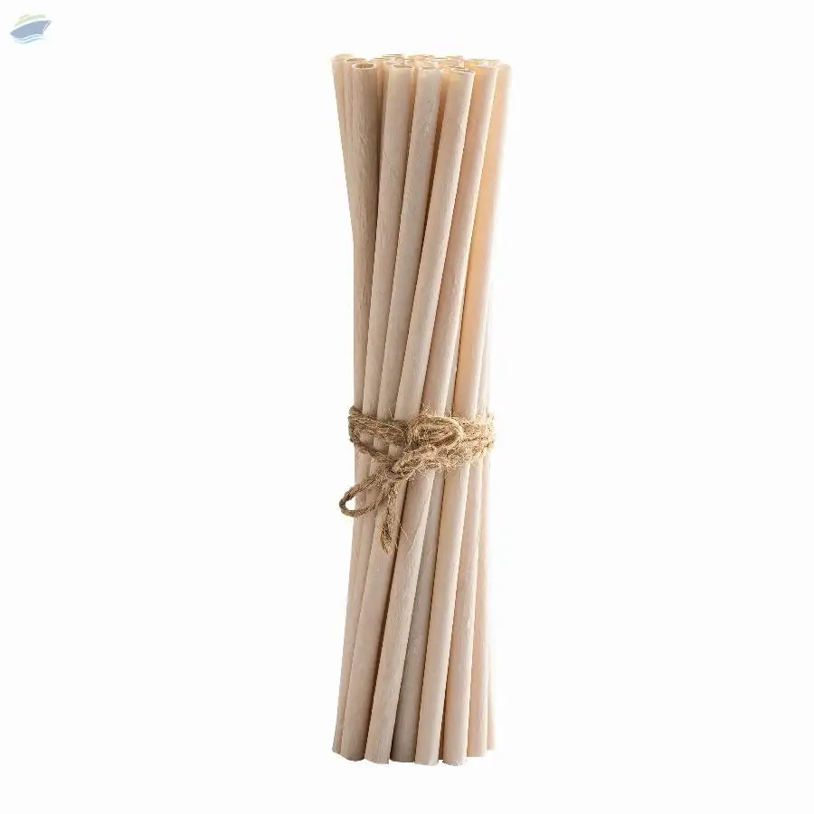 EQUO Coconut Drinking Straws Standard 1000