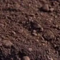 Iron Ore