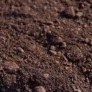 Iron Ore