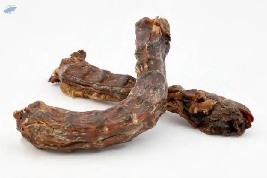 Pet Treats : Dried Duck Neck