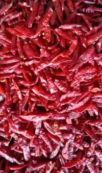 Indian Whole Spices