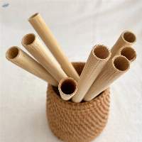Carbonized Bamboo Straw